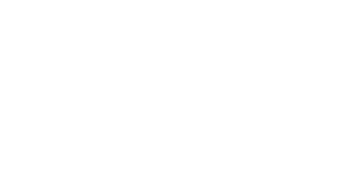 IRS Certified Acceptance Agent logo